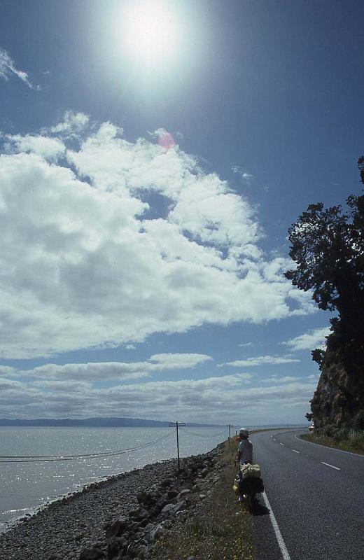 WT 0200 016-23 New Zealand.jpg